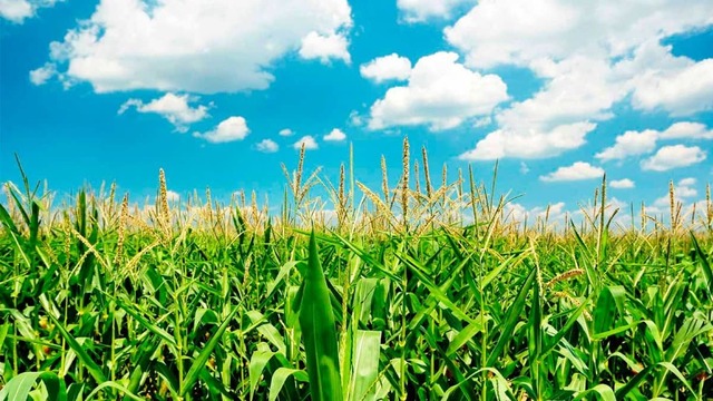 A When the name biomass came to be