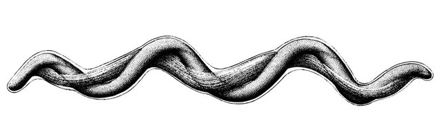 Hi segueixen havent casos