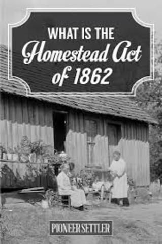 homestead act
