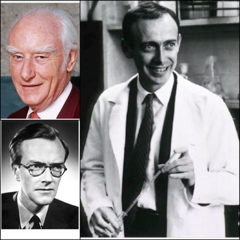 James Watson , Francis Crick y Maurice Wilkins