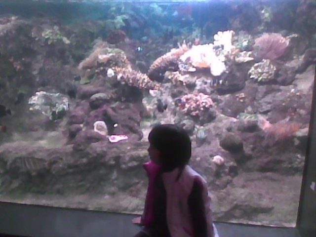 my first time in Genova