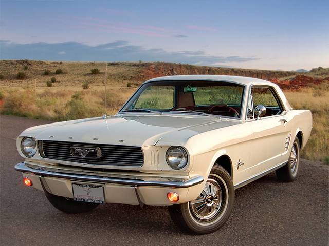 Different Types of Cars Introduced