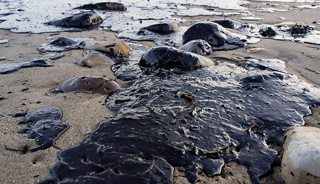 Effects Caused by Keystone XL