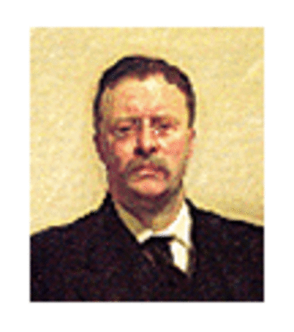 Theodore Roosevelt