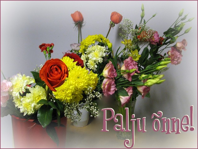 käisin sünnipäeval