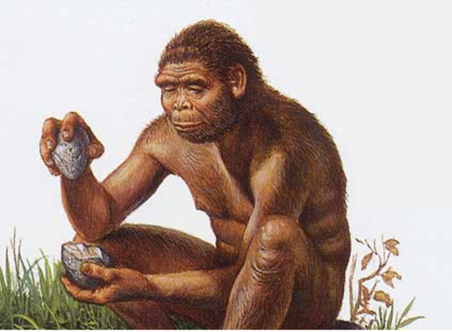 Aparicion del HOMO HABILIS