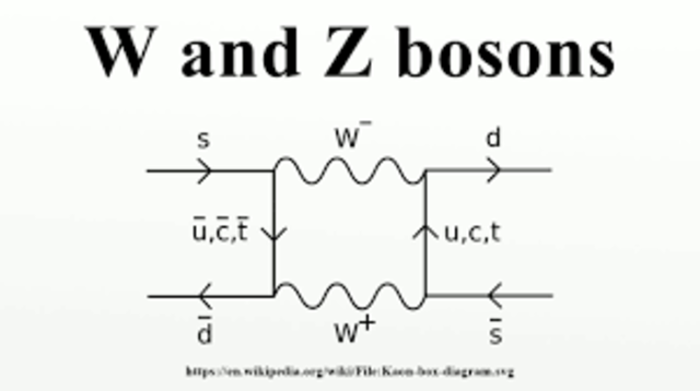 Bosons W i Z