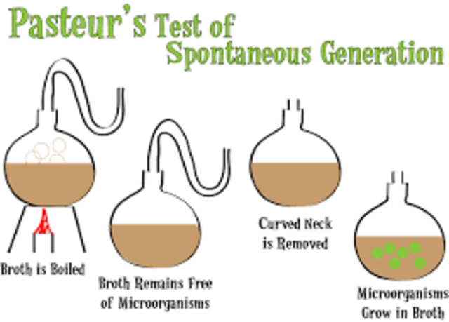 Louis Pasteur refute spontaneous generation