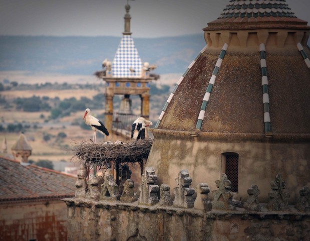 Inicio de Trujillo Medieval