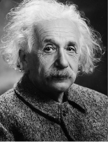 Albert Einstein dies