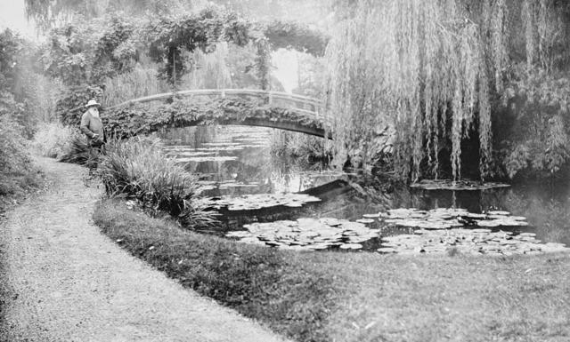 Monet Builds a Water-Lily Garden