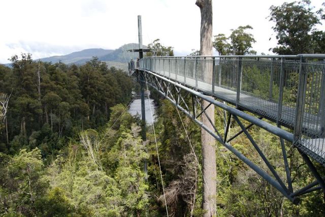 Forestry Tasmania sells Tahune Airwalk