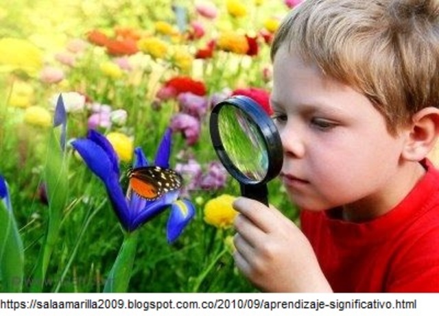 La Teoría del Aprendizaje Significativo.