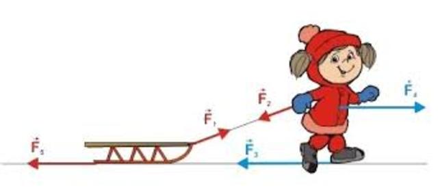 Мальчик пытается сдвинуть санки с грузом на горизонтальной поверхности изобразите на данном рисунке