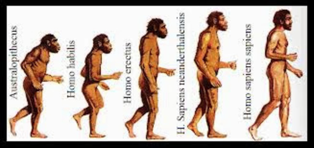 APARICIÓN DEL HOMBRE