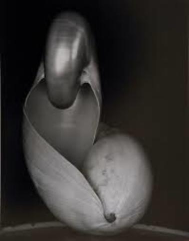 Edward Weston