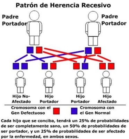 Enfermedades Hereditarias