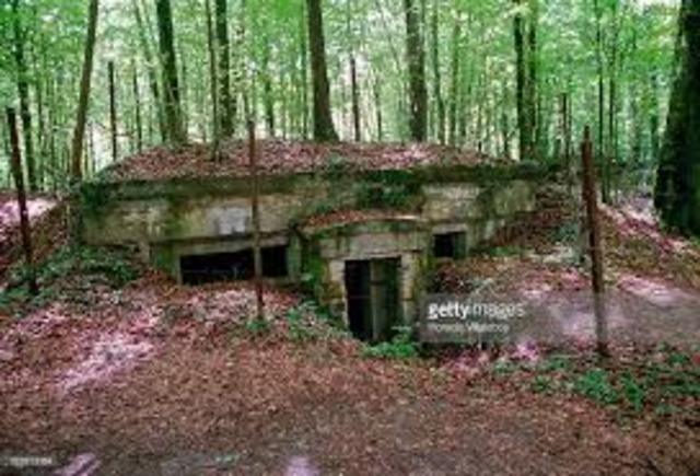 •	Battle of Argonne Forest