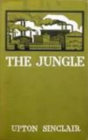 The jungle