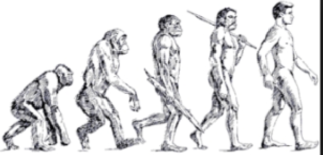 Evolutionist