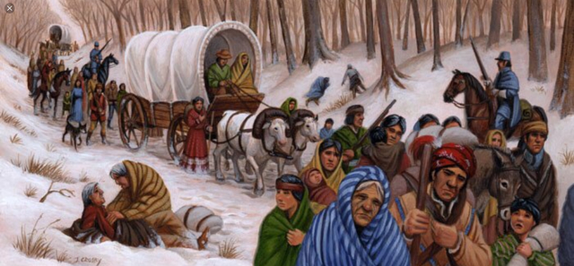 The Indian Removal Act