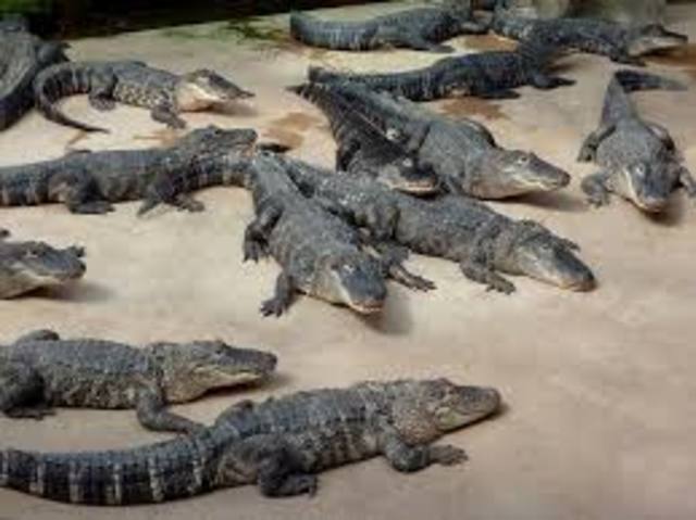 Day 5- Fecamp (tourist attractions)