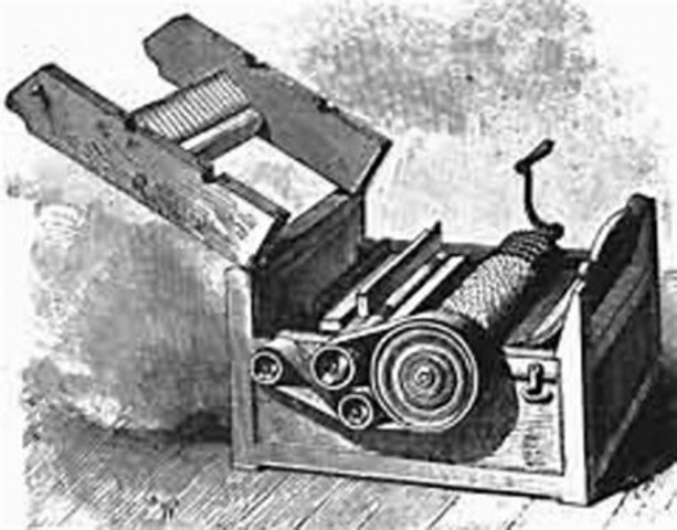 The Effects of Cotton