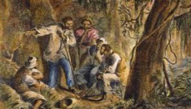 The Nat Turner Rebellion