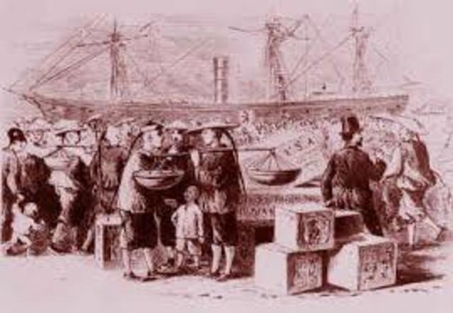 The Chinese Migration