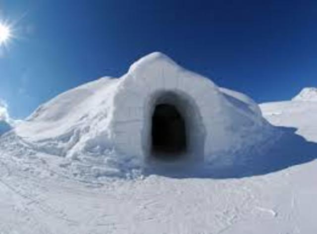 Artic igloos