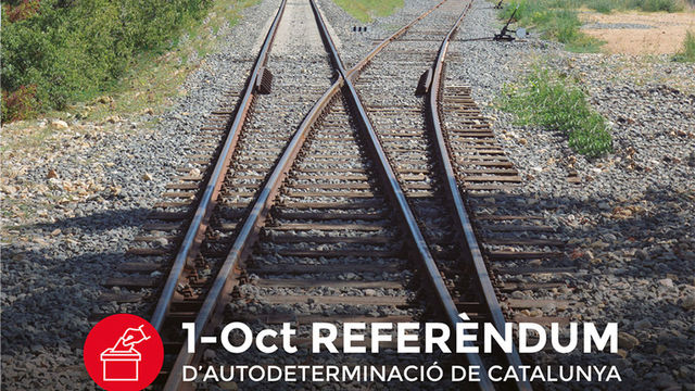 Polític: Referèndum 1 octubre