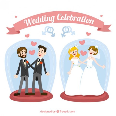 Matrimonis homosexuals a espanya (social)