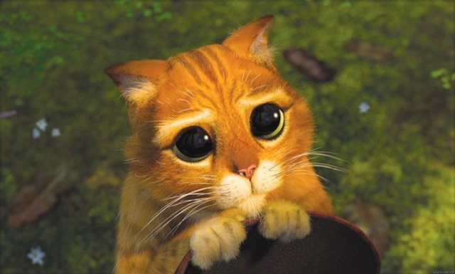 Просьба предоставить недостающие справочники