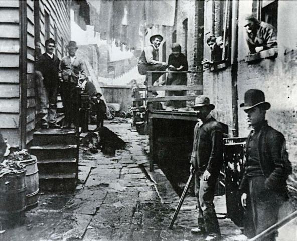 How the Other Half Lives Published