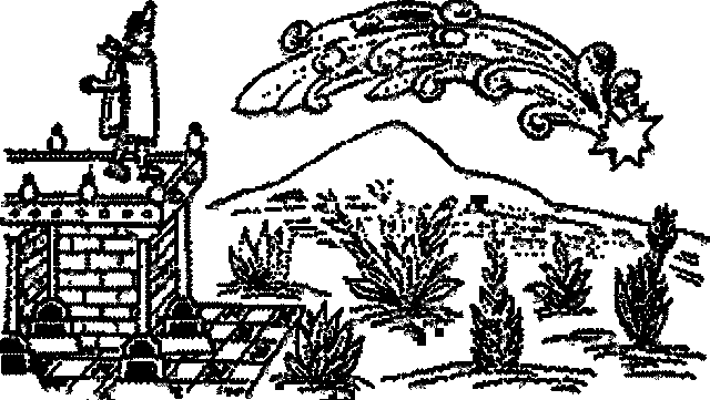 Senales y Pronósticos