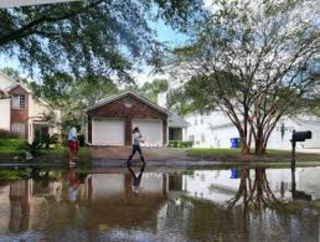 South Carolinians repel British attempt to take Charleston.