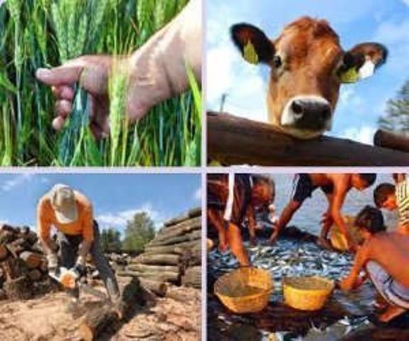 Economía Autárquica