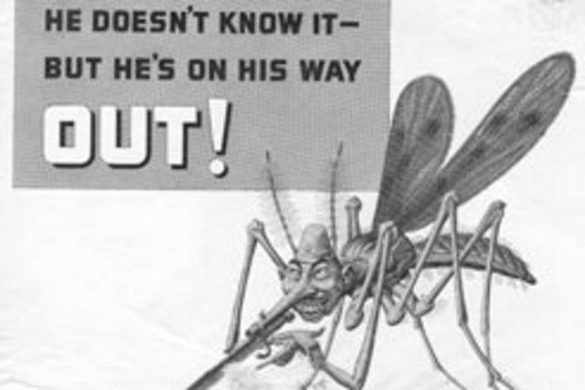 The bugs will have revenge