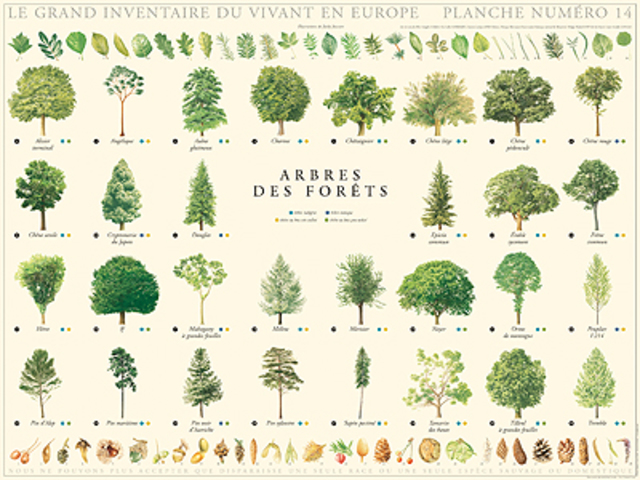 Day 3 (entertainment)