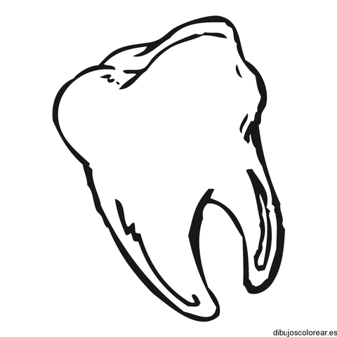 S'em va caure la primera dent