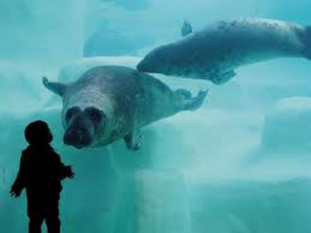 Day two in Biarritz (attractions)