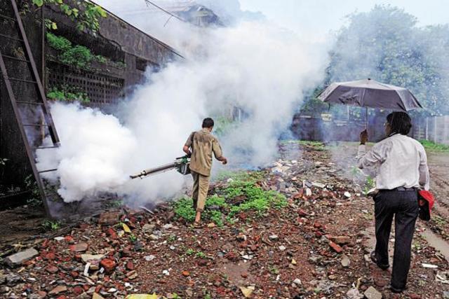 War Against Mosquitoes