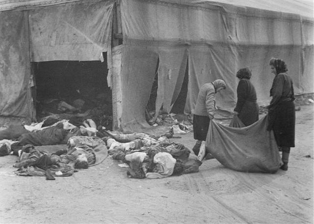 Free from Lublin Camp