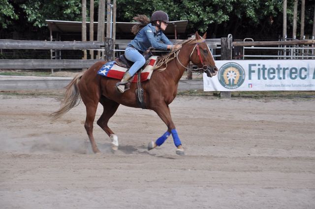 First lesson in the horse