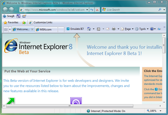 APARICIÓ DE L'INTERNET EXPLORER
