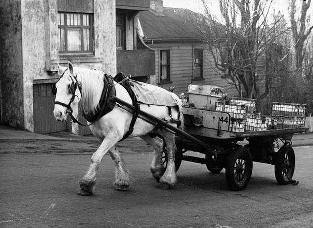 Worked as a milkman