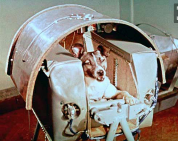 Sputnik and dog, Laika, launched