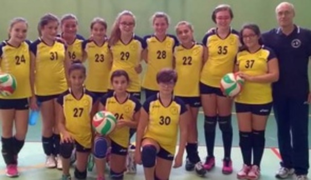 A new volleyball adventure