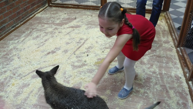 Первый раз в контакт-зоопарке