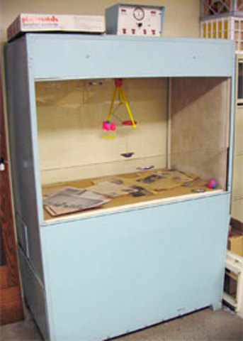 Radikális behaviorizmus - Skinner